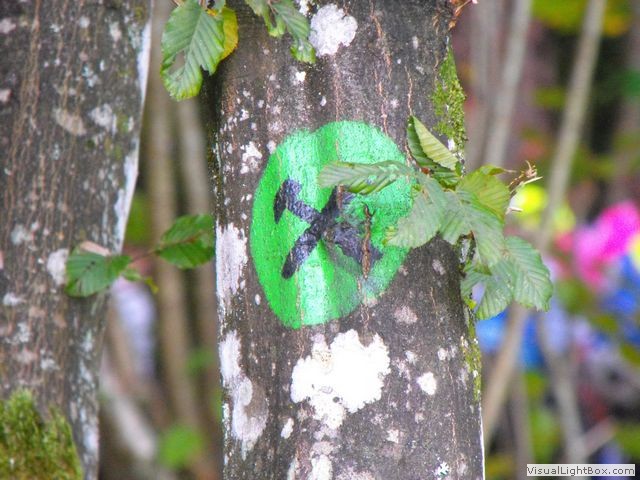 Športni dan – po rudarski poti 2011