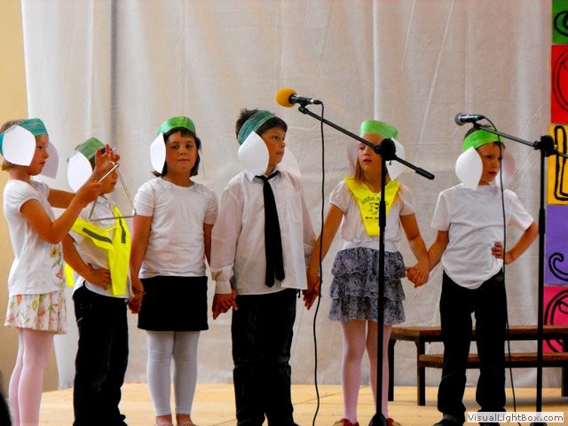 Veselje mladosti 2012