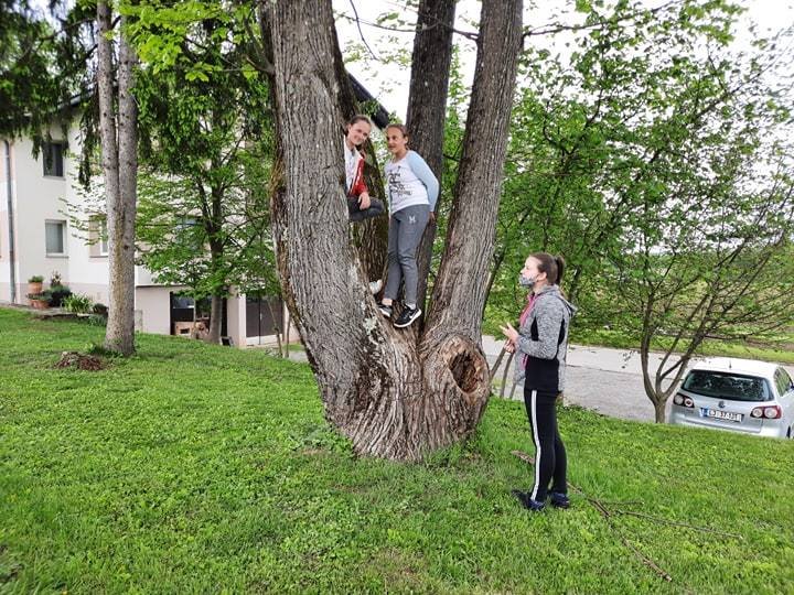 Mančkovi Hribci v 6. razredu