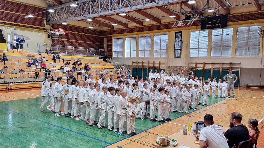 Naši učenki uspešni na ju-jitsu pokalu