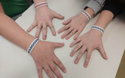 Belokranjska dediščina v naših rokah