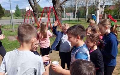 POMLAD V PODALJŠANEM BIVANJU